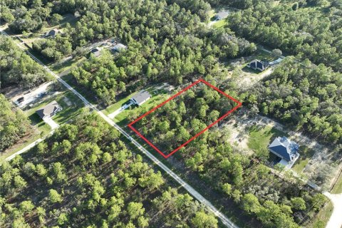 Land in Dunnellon, Florida № 1918078 - photo 3