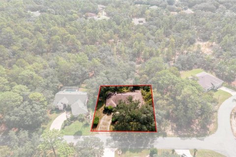 Villa ou maison à vendre à Homosassa, Floride: 3 chambres, 185.8 m2 № 2411582 - photo 4