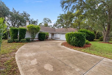Villa ou maison à vendre à Homosassa, Floride: 3 chambres, 185.8 m2 № 2411582 - photo 3