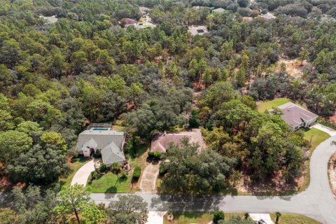 Villa ou maison à vendre à Homosassa, Floride: 3 chambres, 185.8 m2 № 2411582 - photo 5