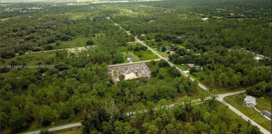 Terreno en Lehigh Acres, Florida № 1903445