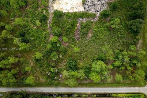 Terreno en venta en Lehigh Acres, Florida № 1903445 - foto 3