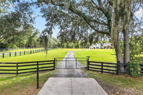 Villa ou maison à vendre à Alachua, Floride: 3 chambres, 225.75 m2 № 2398983 - photo 5