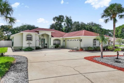 House in Palm Coast, Florida 3 bedrooms, 176.98 sq.m. № 2337314
