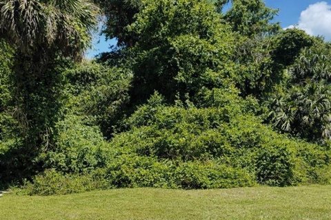 Terreno en Palm Coast, Florida № 2232650