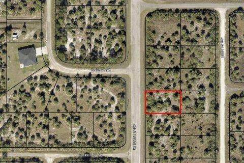 Land in Palm Bay, Florida № 2160473 - photo 2