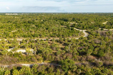 Land in North Port, Florida № 2195406 - photo 14