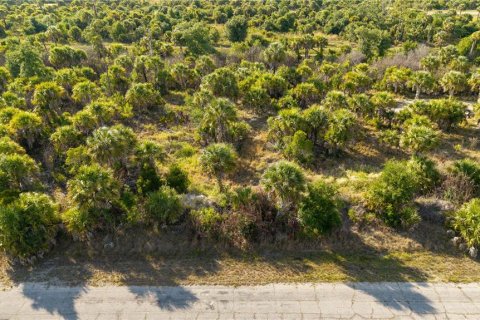 Land in North Port, Florida № 2195406 - photo 8