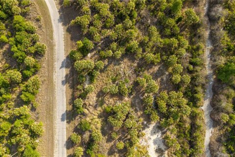 Land in North Port, Florida № 2195406 - photo 7