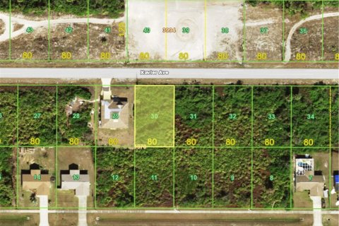 Land in Port Charlotte, Florida № 2228651 - photo 3