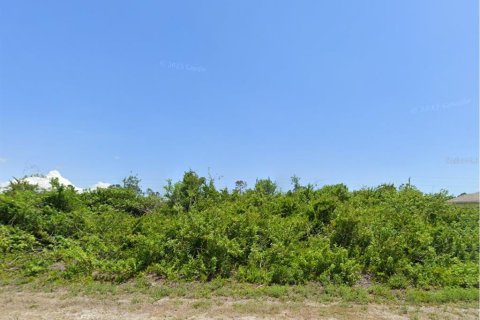 Terreno en Port Charlotte, Florida № 2228651