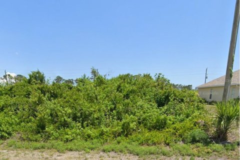 Land in Port Charlotte, Florida № 2228651 - photo 2