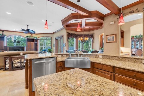 House in Tarpon Springs, Florida 6 bedrooms, 535.77 sq.m. № 2110260 - photo 18