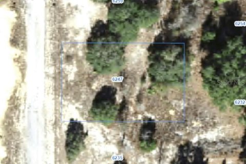 Land in Citrus Springs, Florida № 2388270