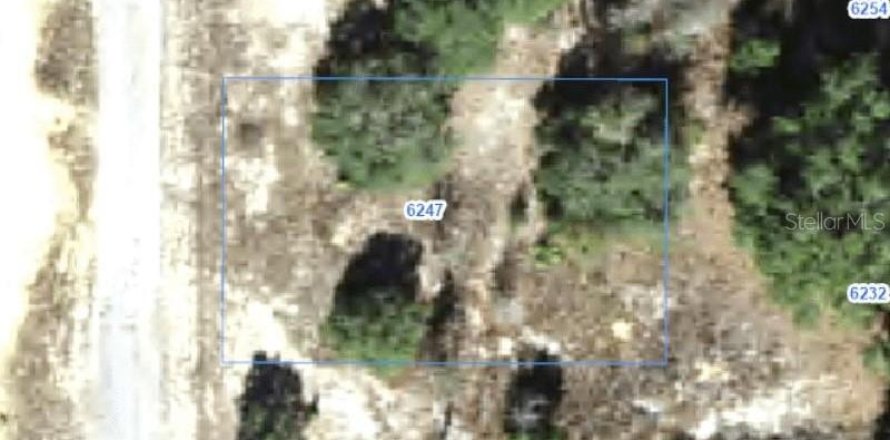 Land in Citrus Springs, Florida № 2388270