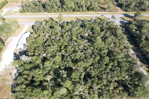 Land in Ocala, Florida № 2130733