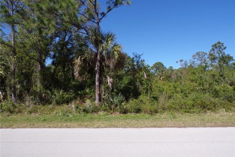 Land in Punta Gorda, Florida № 2228898 - photo 11