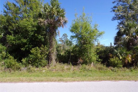Land in Punta Gorda, Florida № 2228898 - photo 3
