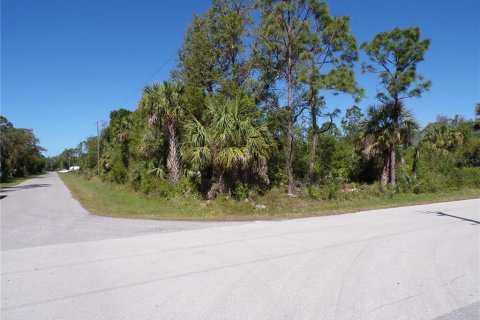 Land in Punta Gorda, Florida № 2228898 - photo 9