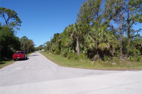 Land in Punta Gorda, Florida № 2228898 - photo 14