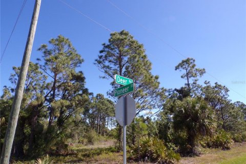 Land in Punta Gorda, Florida № 2228898 - photo 8