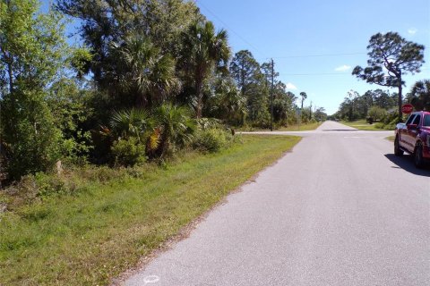 Land in Punta Gorda, Florida № 2228898 - photo 4