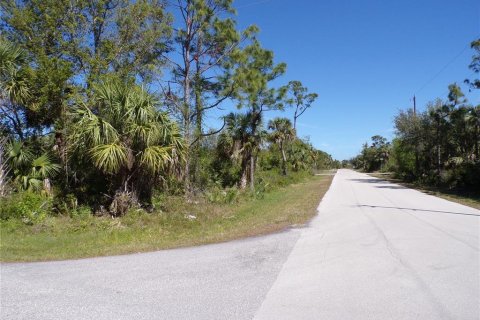 Land in Punta Gorda, Florida № 2228898 - photo 15