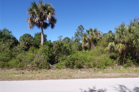 Land in Punta Gorda, Florida № 2228898 - photo 12