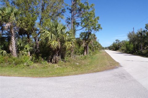Land in Punta Gorda, Florida № 2228898 - photo 6