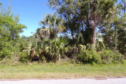 Land in Punta Gorda, Florida № 2228898 - photo 2