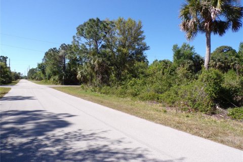 Land in Punta Gorda, Florida № 2228898 - photo 13
