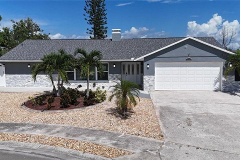 Villa ou maison à vendre à Apollo Beach, Floride: 4 chambres, 184.69 m2 № 1916175 - photo 7