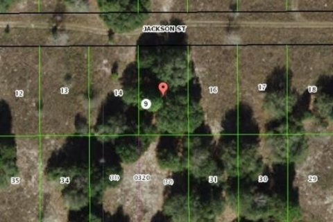 Land in Inverness, Florida № 2165216 - photo 2