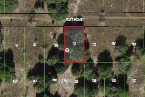 Land in Inverness, Florida № 2165216