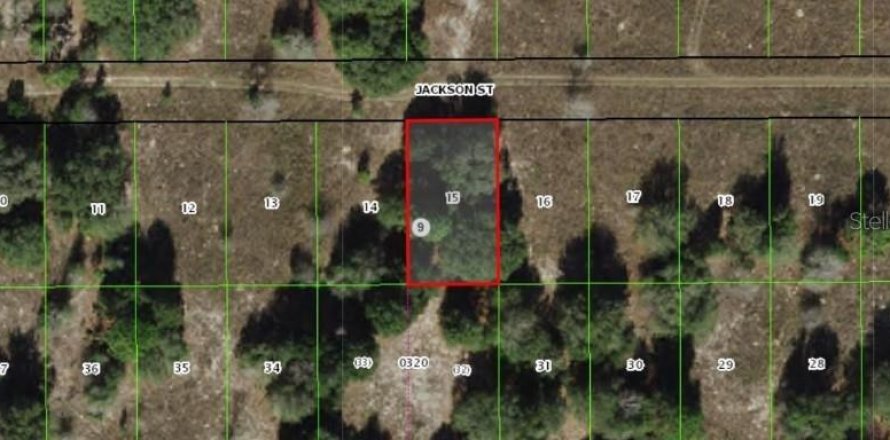 Land in Inverness, Florida № 2165216