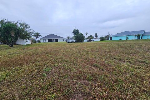 Land in Cape Coral, Florida № 1591053 - photo 1