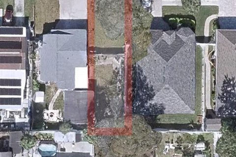 Land in Tampa, Florida № 2201853