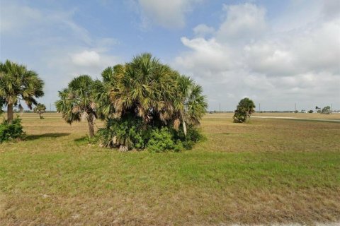 Terrain à Placida, Floride № 2224090