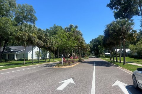 Terreno en venta en Lake Helen, Florida № 1210922 - foto 4