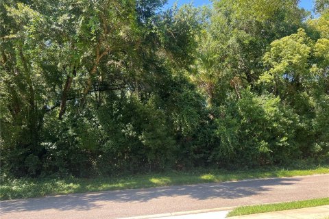 Terreno en venta en Lake Helen, Florida № 1210922 - foto 7