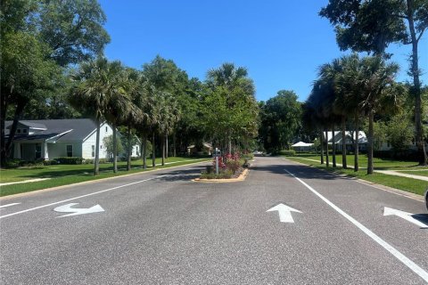 Terreno en venta en Lake Helen, Florida № 1210922 - foto 8