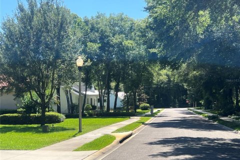 Terreno en venta en Lake Helen, Florida № 1210922 - foto 2