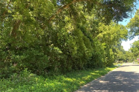 Terreno en venta en Lake Helen, Florida № 1210922 - foto 1