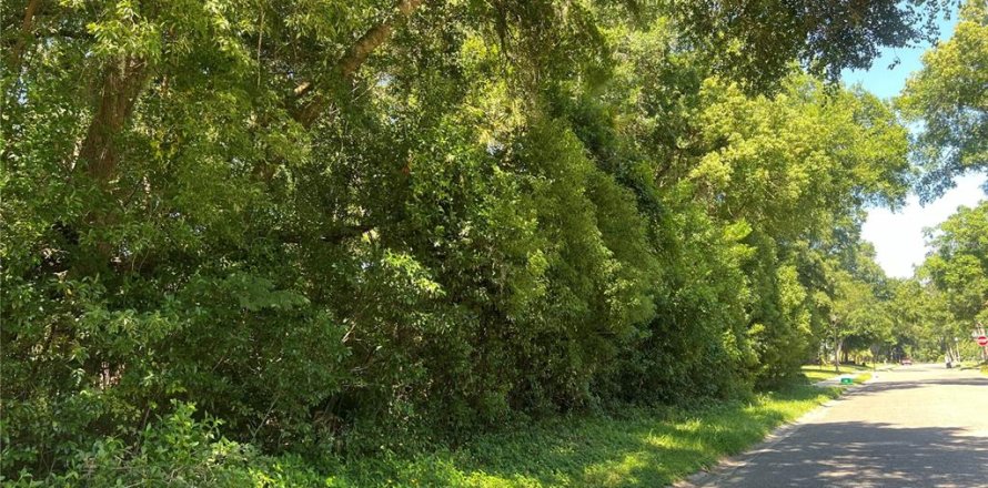 Terreno en Lake Helen, Florida № 1210922