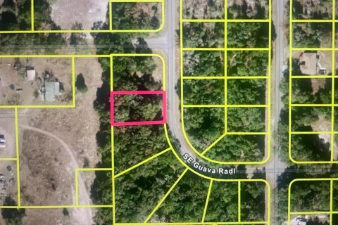Land in Ocklawaha, Florida № 2228553