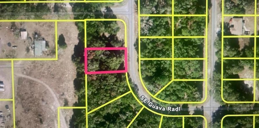Land in Ocklawaha, Florida № 2228553