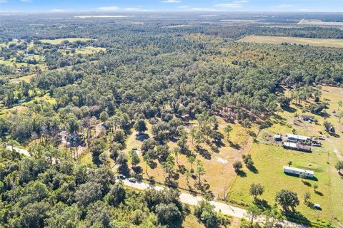Land in Frostproof, Florida № 2123078 - photo 14