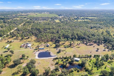 Land in Frostproof, Florida № 2123078 - photo 10