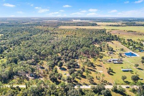 Land in Frostproof, Florida № 2123078 - photo 17