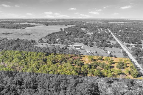 Land in Frostproof, Florida № 2123078 - photo 4